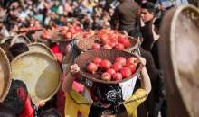 جشنواره انار در منطقه ۱۶